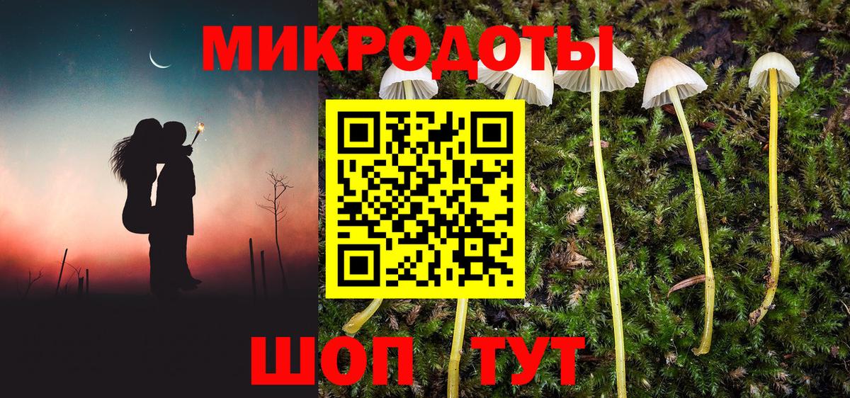 Галлюциногенные грибы Psilocybine cubensis Балтийск